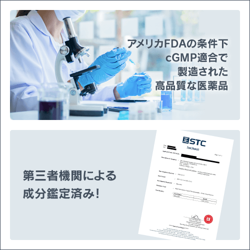 【送料無料】フォリックスFR15
