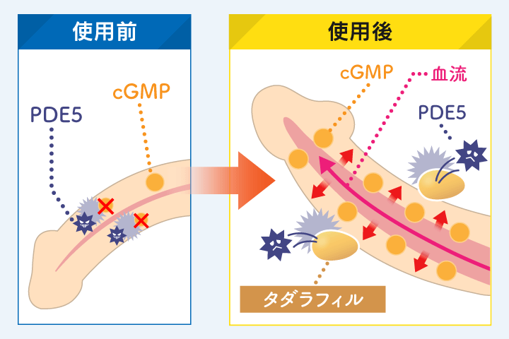 ビダリスタの作用機序