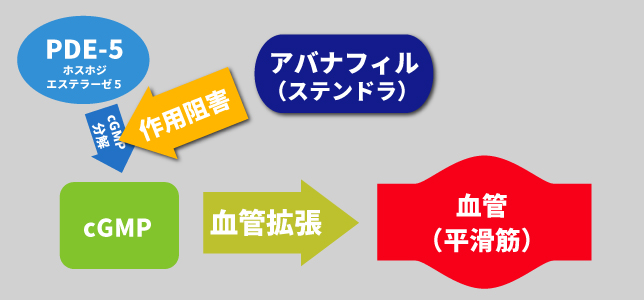 有効成分アバナフィルとは