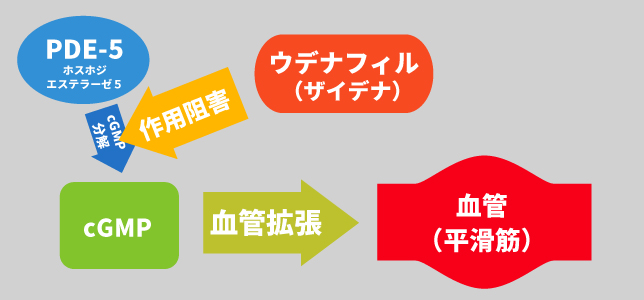 有効成分ウデナフィルとは