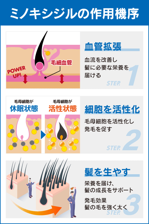 ツゲインの作用機序