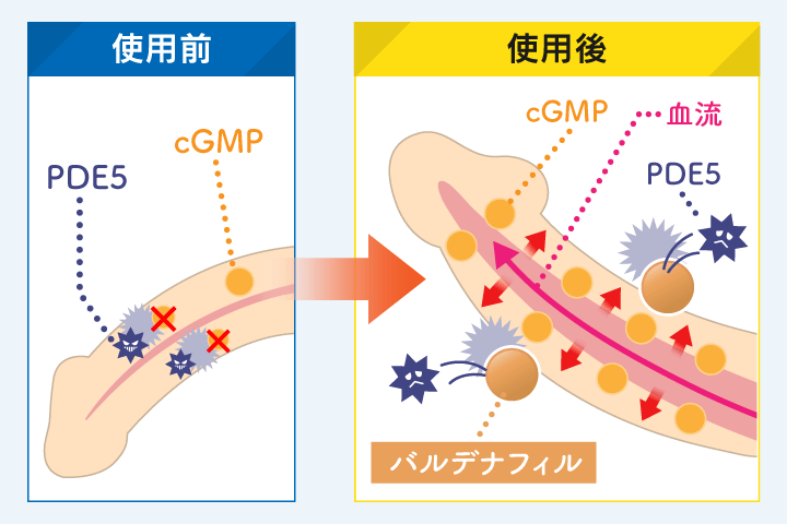 ブリトラの作用機序