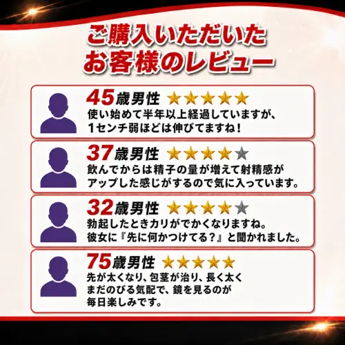 プロソリューションレビュー