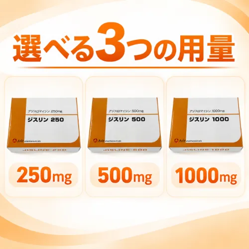 ジスリン 250mg・500mg・1000mg