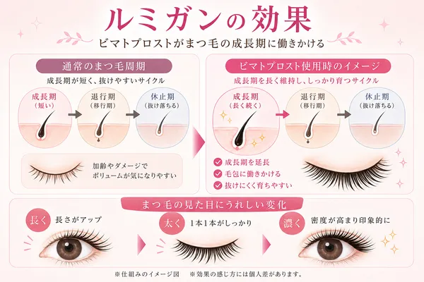 ビマトプロストの効果