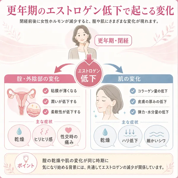 更年期とエストロゲン低下の変化