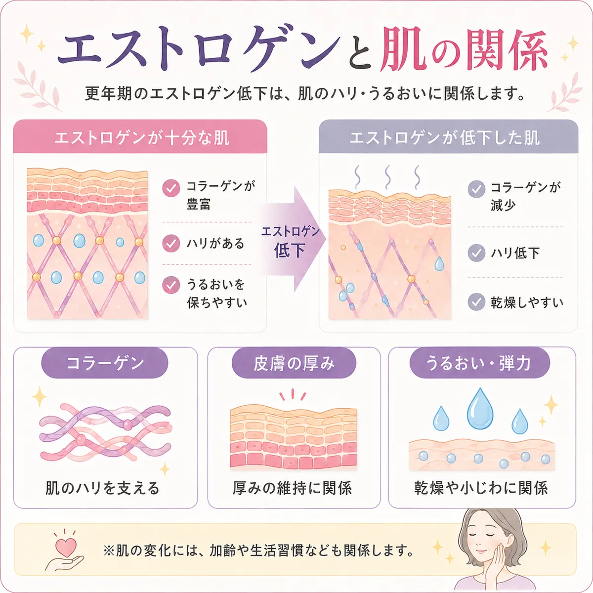 エストロゲンと肌の関係