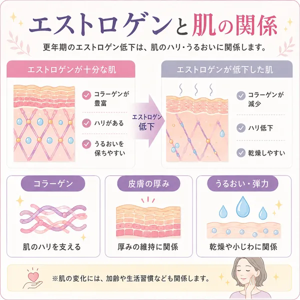 エストロゲンと肌の関係