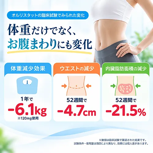 アライの効果