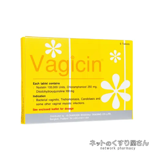 ヴァギシン膣錠