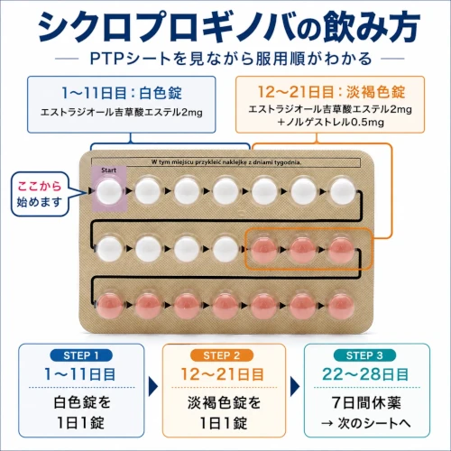 シクロプロギノバの飲み方