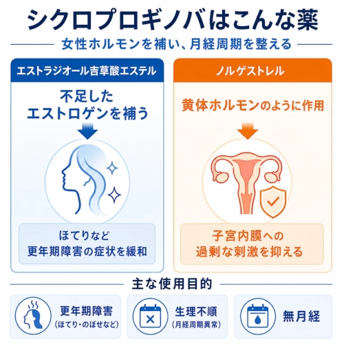 シクロプロギノバの作用と使用目的