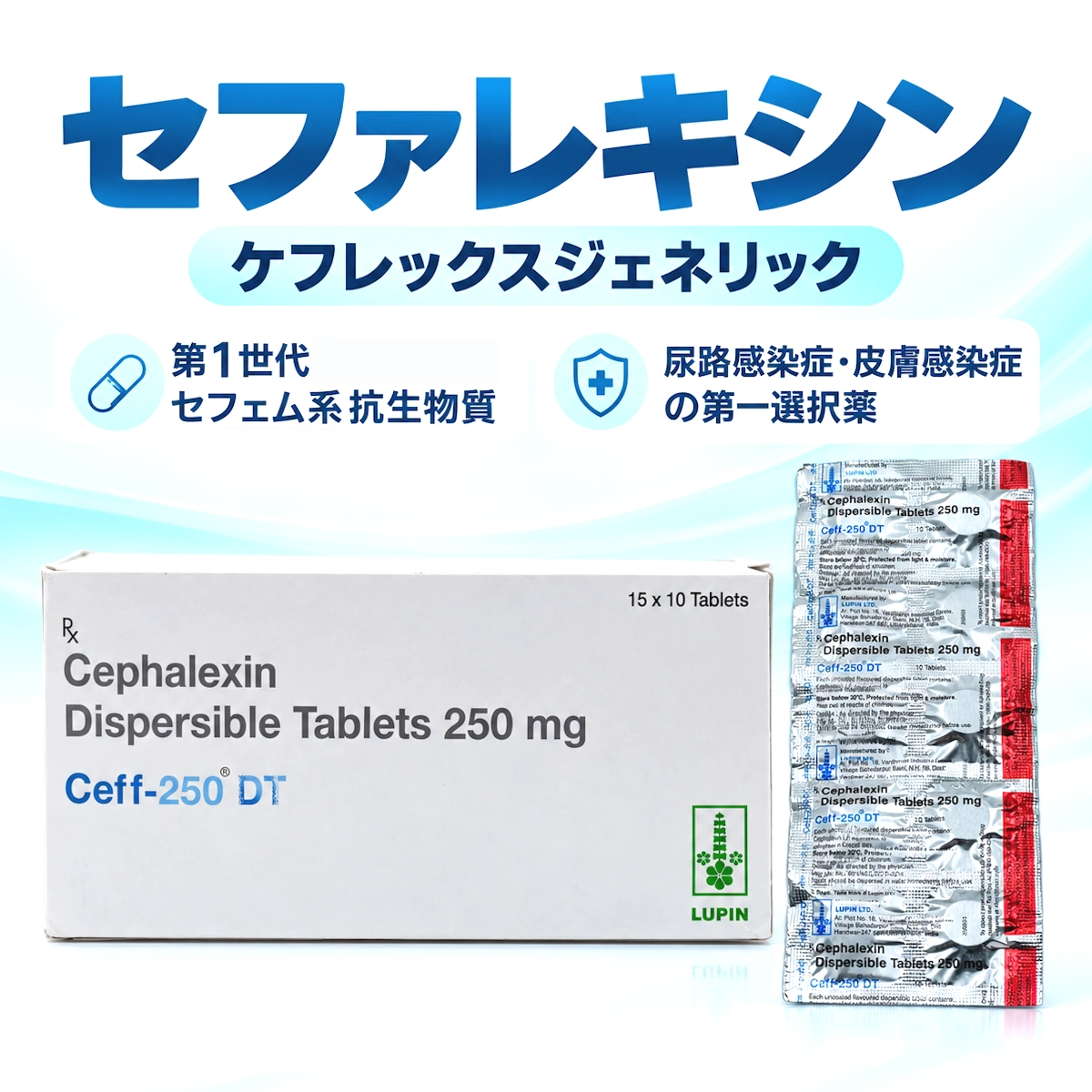 セファレキシン ケフレックスジェネリックの通販情報