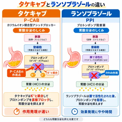タケキャブとランソプラゾールの違い