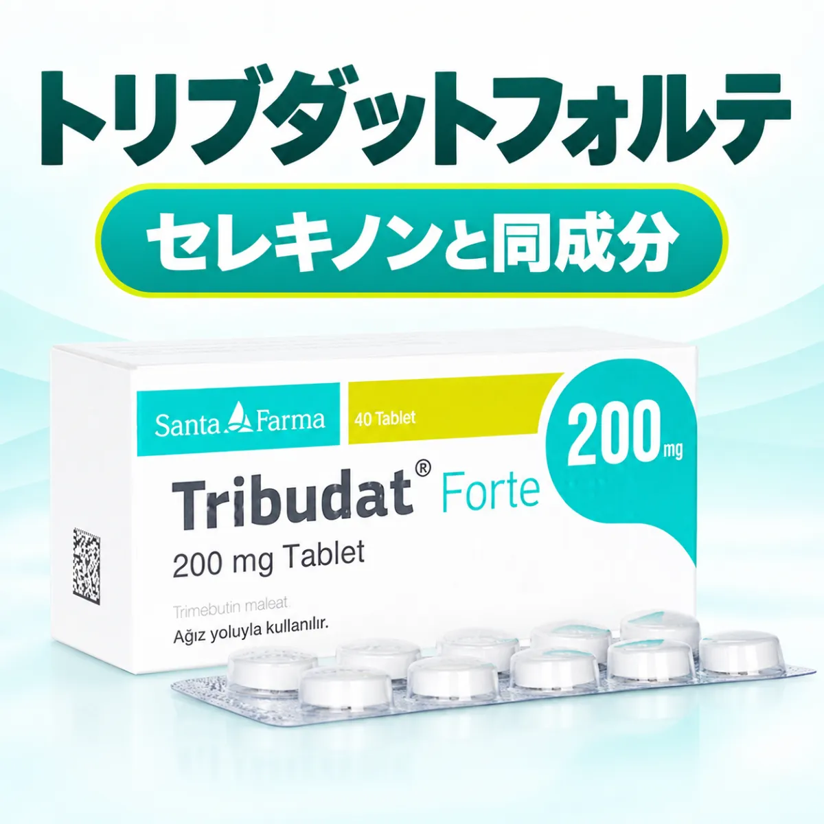トリブダットフォルテ（セレキノン）