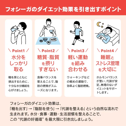 フォシーガのダイエット効果を引き出すポイント