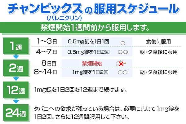 バレピックスの服用方法